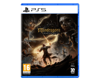 PlayStation Mandragora: Whispers of the Witch Tree - 1338653 - zdjęcie 1